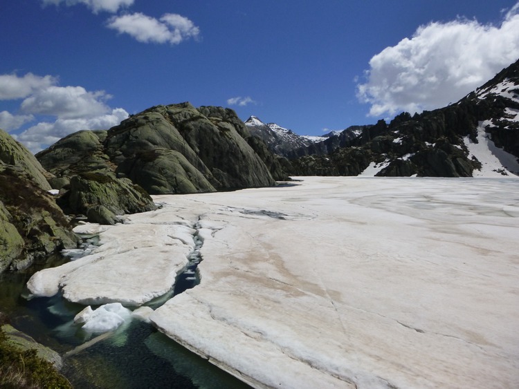 Etang d'Alet au mois de mai